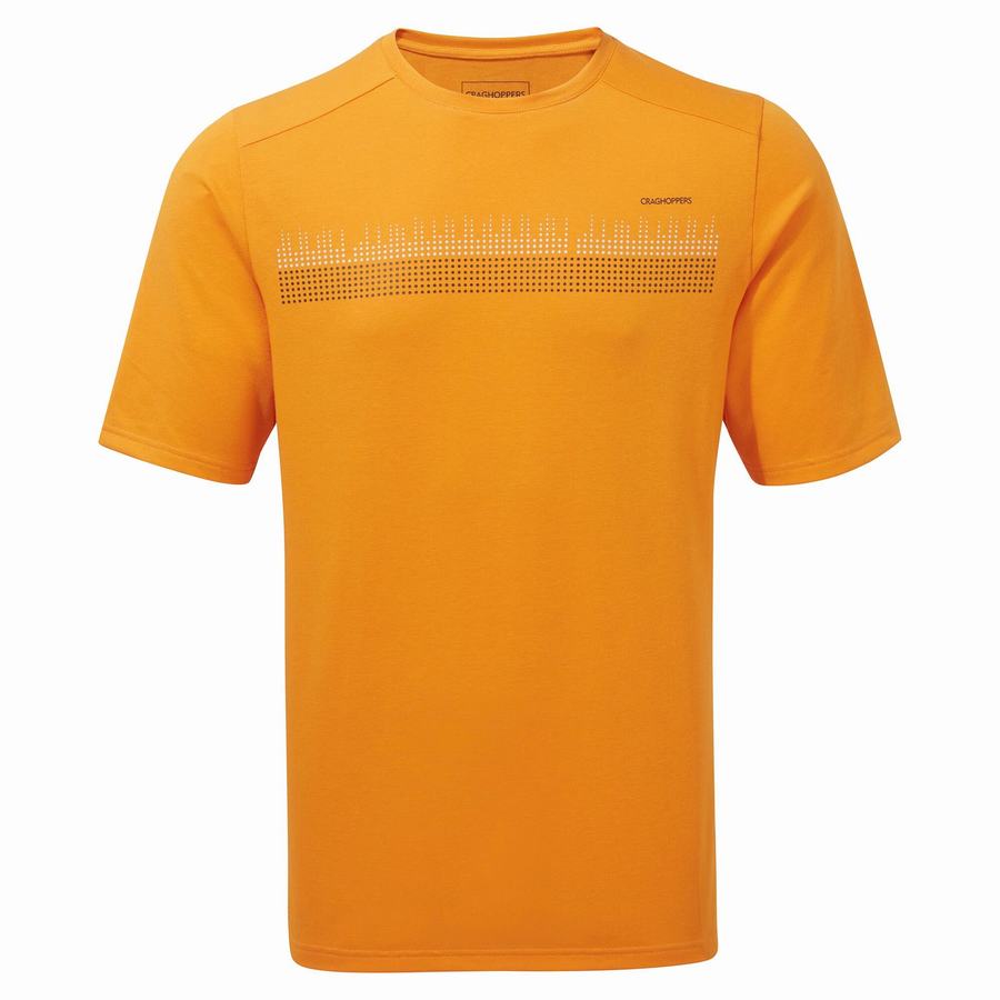 Orange Craghoppers Dynamic Short Sleeved Men\'s T-Shirts | EJC4171WJ