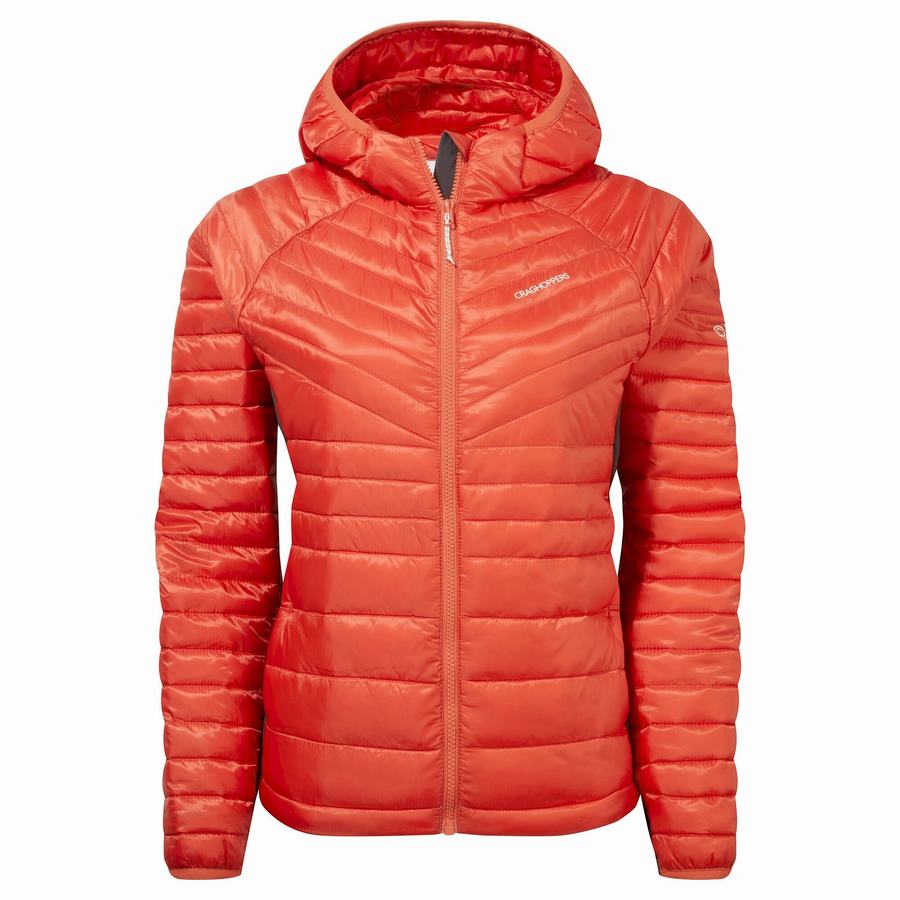 Orange Craghoppers ExpoLite Insulated Hooded Women\'s Jackets | QJO8556TK