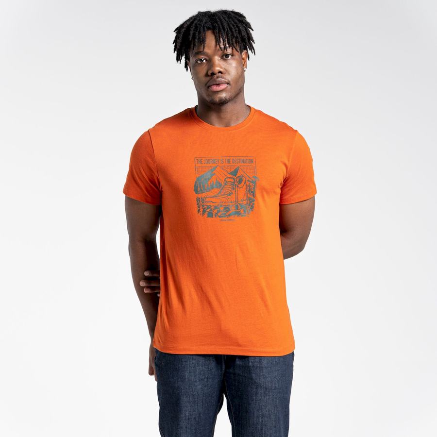 Orange Craghoppers Lugo Short Sleeved Men's T-Shirts | KHM85TN