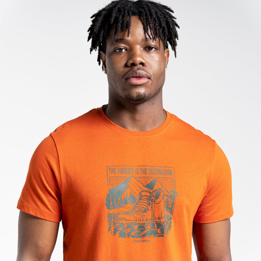 Orange Craghoppers Lugo Short Sleeved Men's T-Shirts | KHM85TN