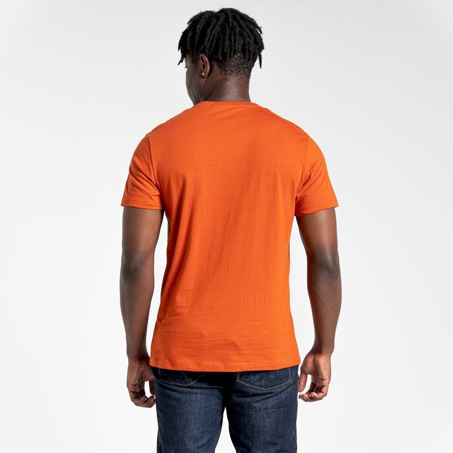 Orange Craghoppers Lugo Short Sleeved Men's T-Shirts | KHM85TN