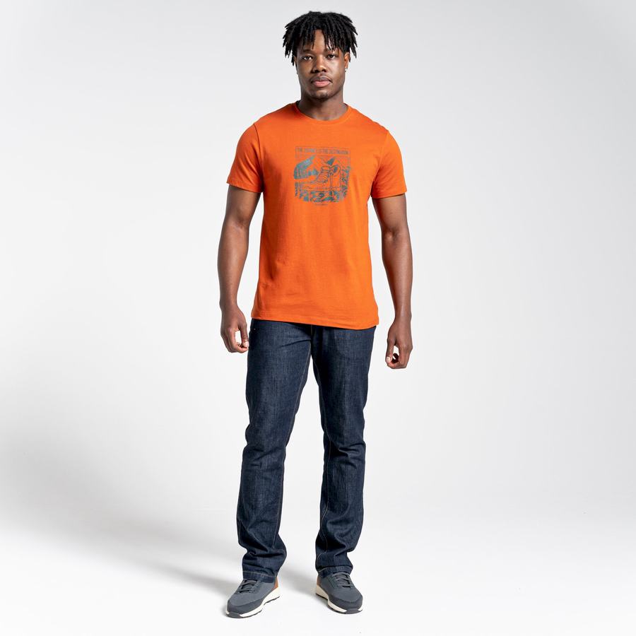 Orange Craghoppers Lugo Short Sleeved Men's T-Shirts | KHM85TN