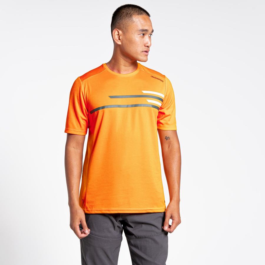 Orange Craghoppers NosiLife Pro Active Short Sleeved Men's T-Shirts | WST3095CH