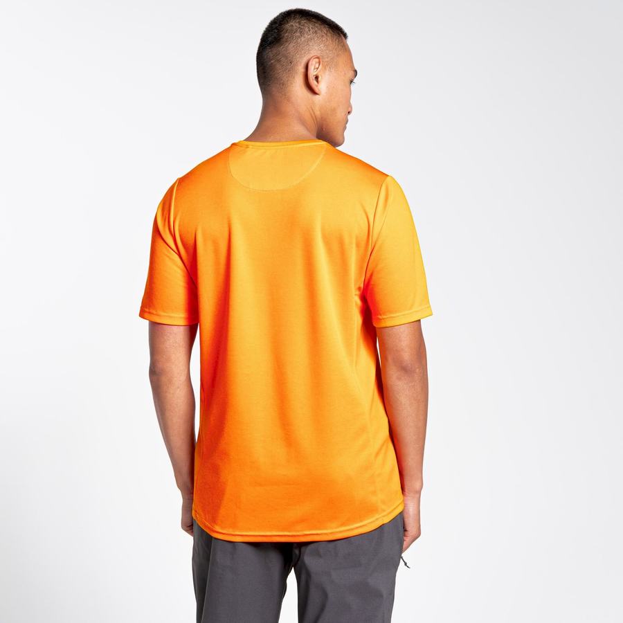 Orange Craghoppers NosiLife Pro Active Short Sleeved Men's T-Shirts | WST3095CH