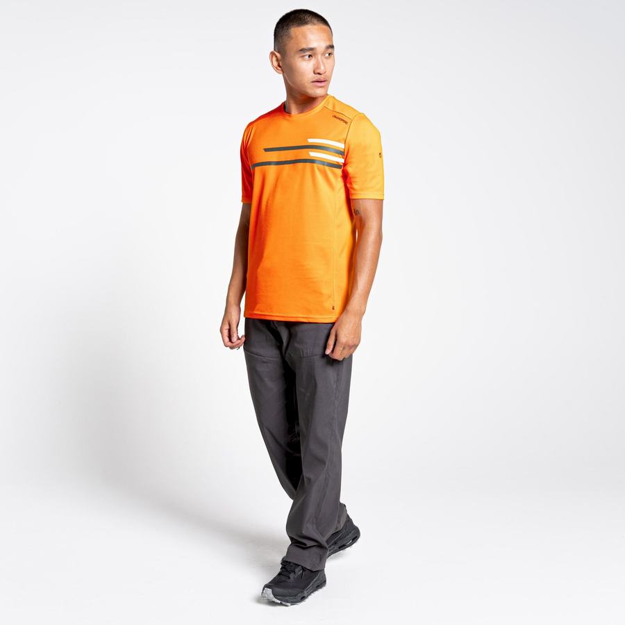 Orange Craghoppers NosiLife Pro Active Short Sleeved Men's T-Shirts | WST3095CH