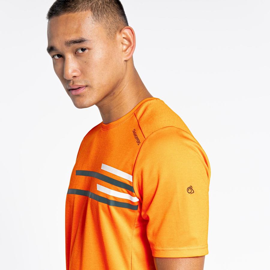 Orange Craghoppers NosiLife Pro Active Short Sleeved Men's T-Shirts | WST3095CH