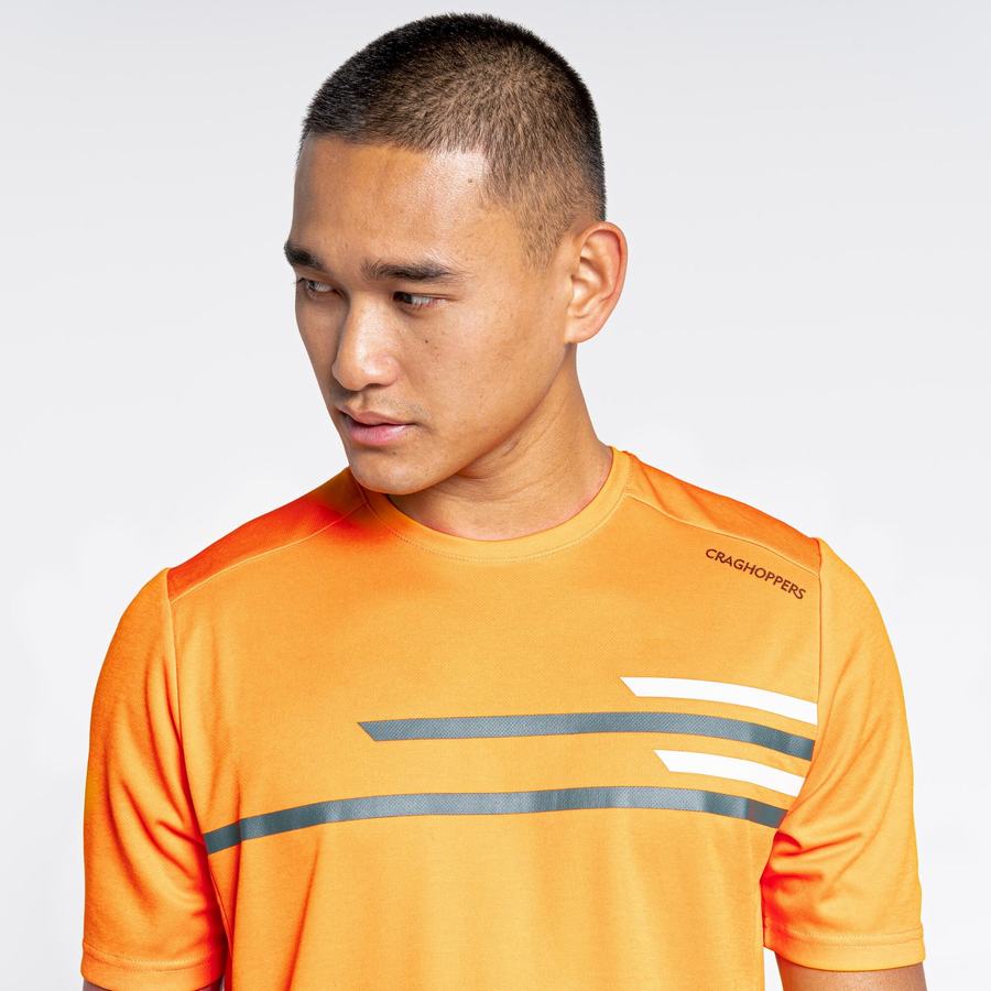 Orange Craghoppers NosiLife Pro Active Short Sleeved Men's T-Shirts | WST3095CH