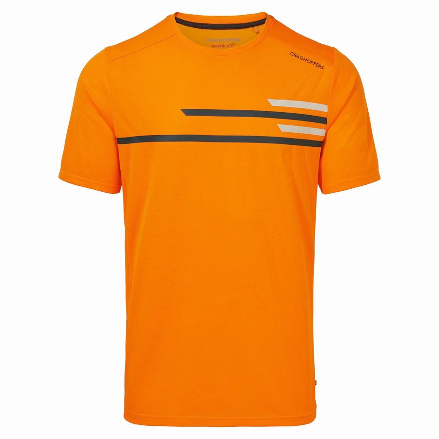 Orange Craghoppers NosiLife Pro Active Short Sleeved Men's T-Shirts | WST3095CH