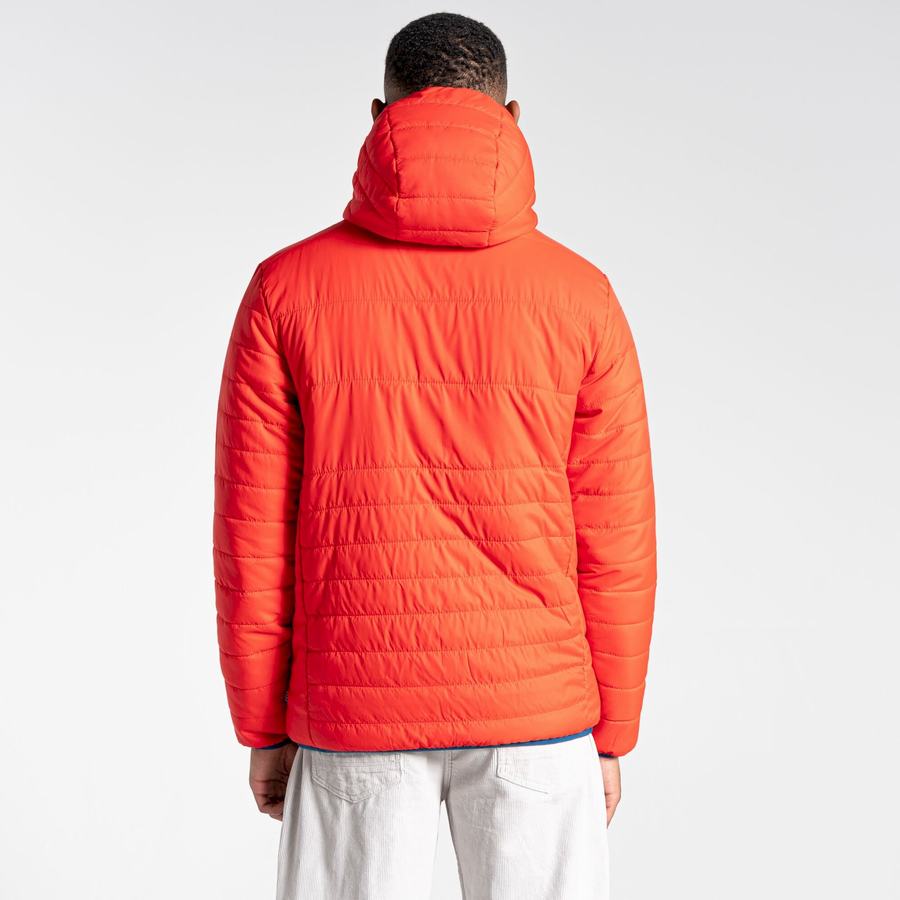 Orange Red Craghoppers Cameo CompressLite Hooded Women's Jackets | LXQ4955WX