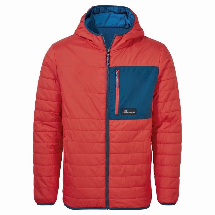 Orange Red Craghoppers Cameo CompressLite Hooded Women\'s Jackets | LXQ4955WX