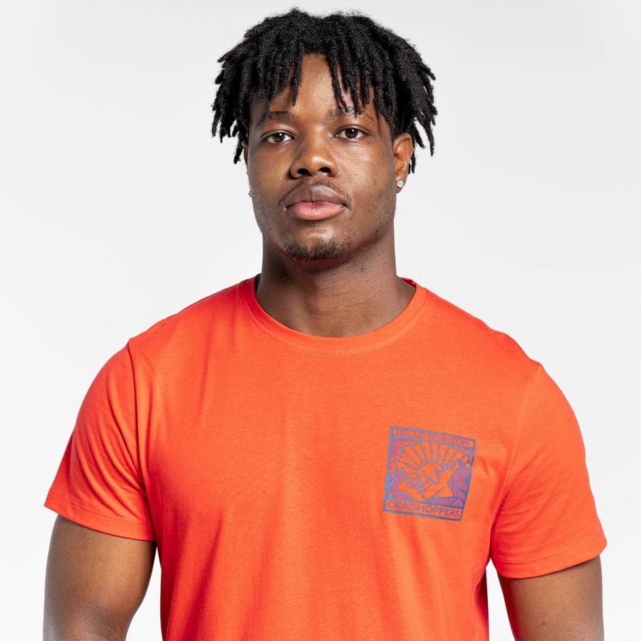 Orange Red Craghoppers Lugo Short Sleeved Men's T-Shirts | TFD2896DO