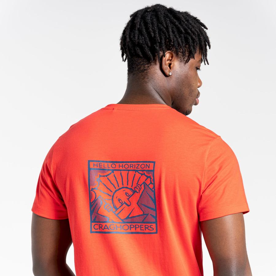 Orange Red Craghoppers Lugo Short Sleeved Men's T-Shirts | TFD2896DO