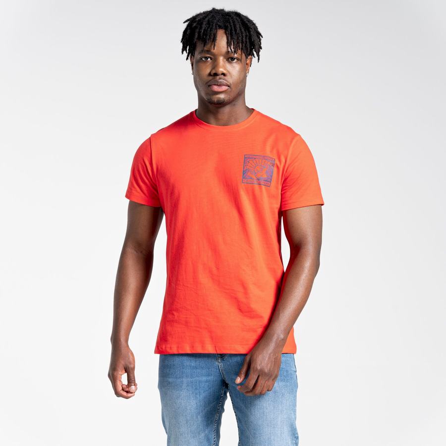 Orange Red Craghoppers Lugo Short Sleeved Men's T-Shirts | TFD2896DO