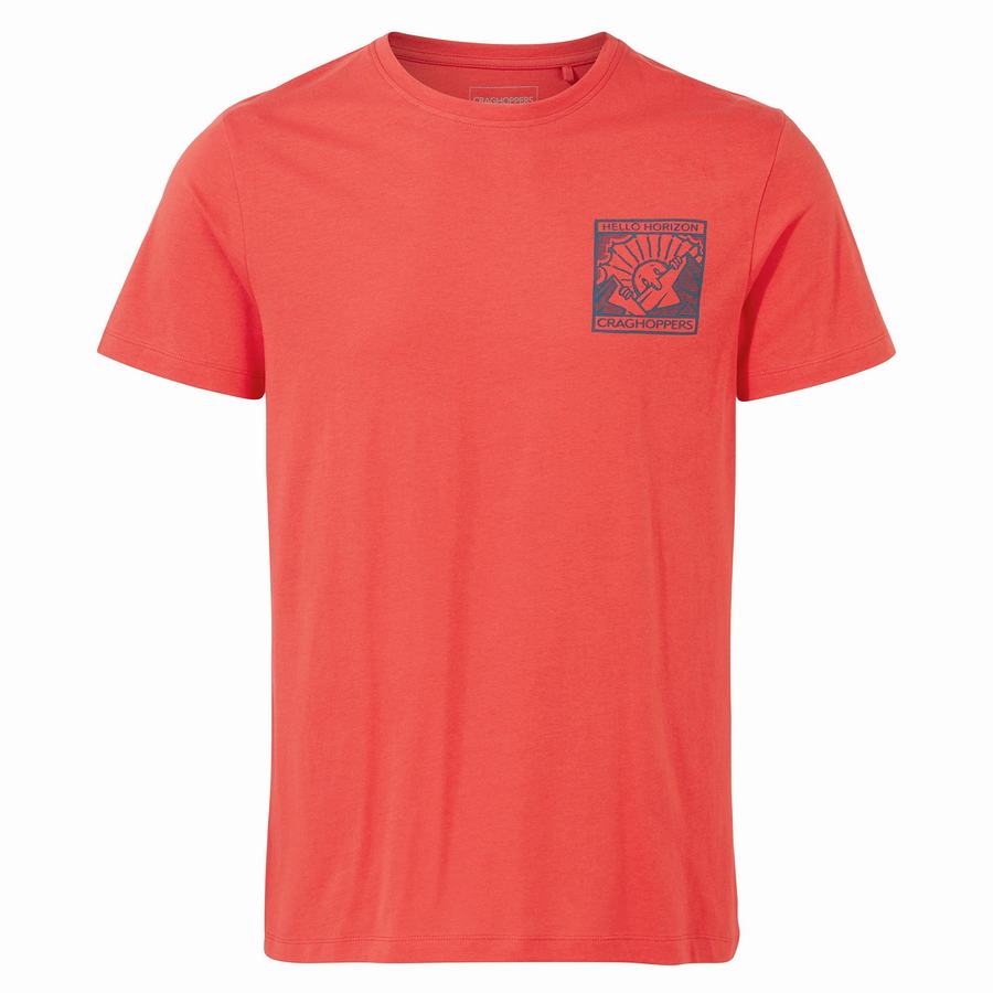 Orange Red Craghoppers Lugo Short Sleeved Men\'s T-Shirts | TFD2896DO