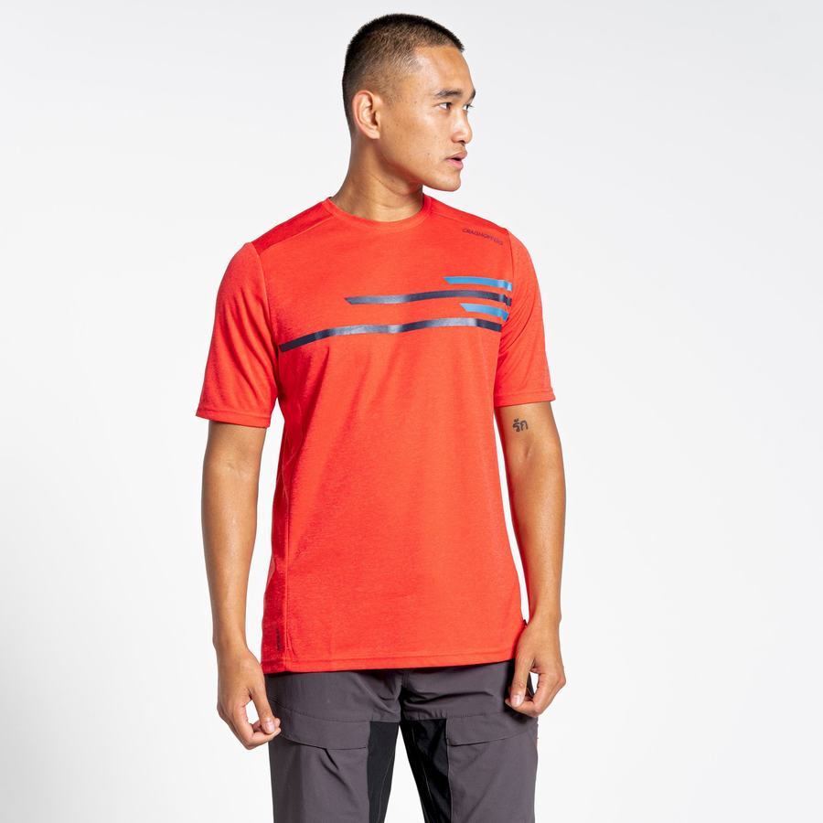 Orange Red Craghoppers NosiLife Pro Active Short Sleeved Men's T-Shirts | PCT6656EX