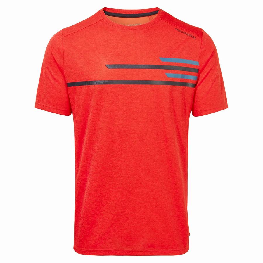 Orange Red Craghoppers NosiLife Pro Active Short Sleeved Men's T-Shirts | PCT6656EX