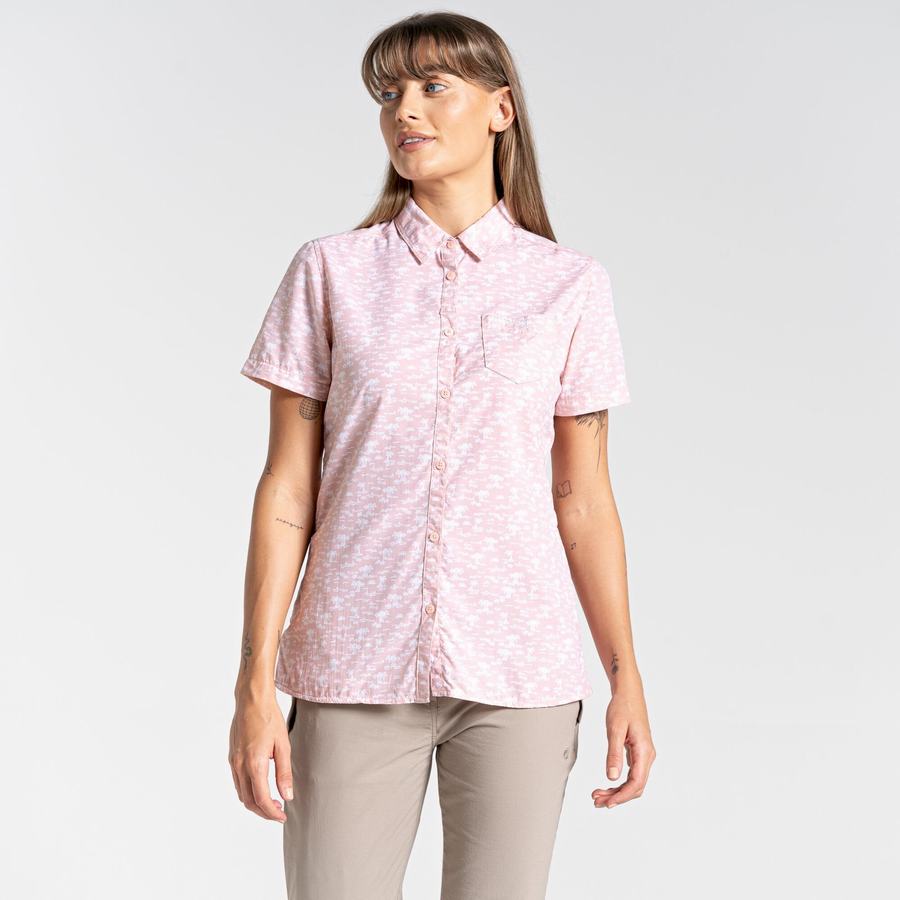 Pink Craghoppers NosiLife Tillia Short Sleeved Women's Shirts | QQI5284IR