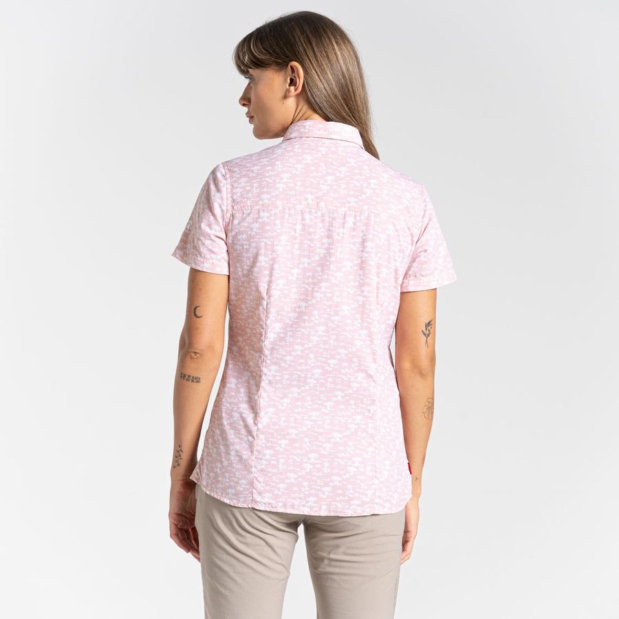 Pink Craghoppers NosiLife Tillia Short Sleeved Women's Shirts | QQI5284IR