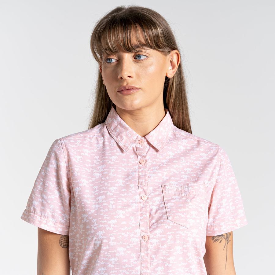 Pink Craghoppers NosiLife Tillia Short Sleeved Women's Shirts | QQI5284IR