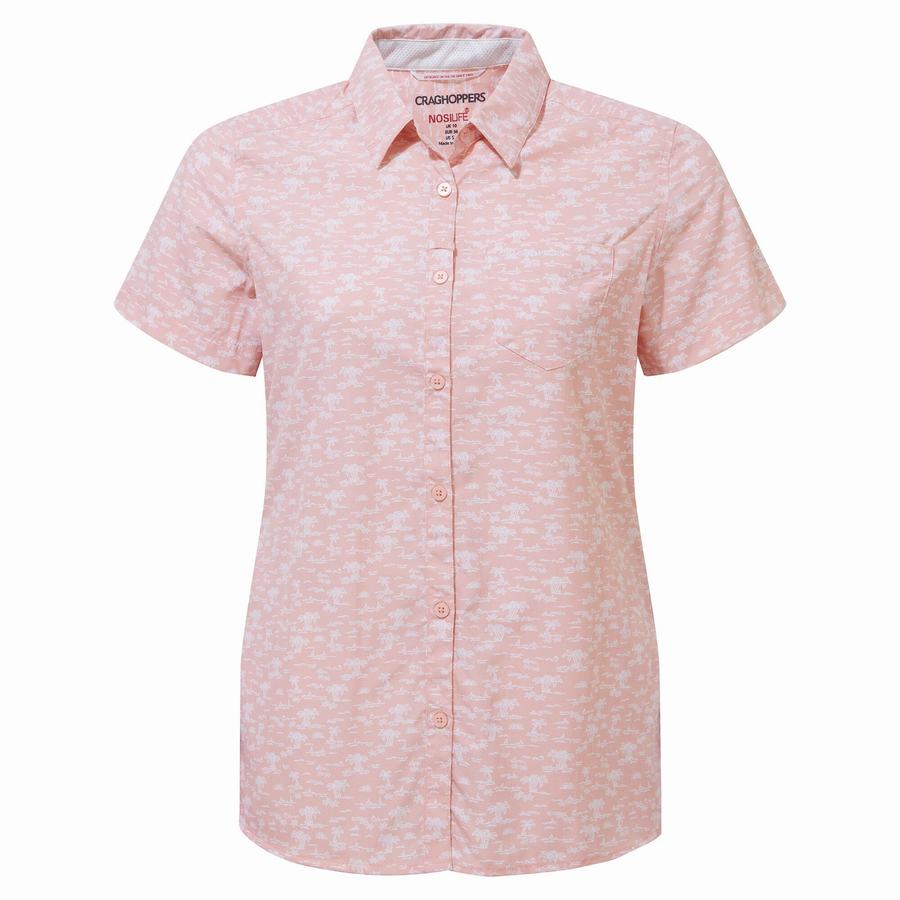 Pink Craghoppers NosiLife Tillia Short Sleeved Women's Shirts | QQI5284IR