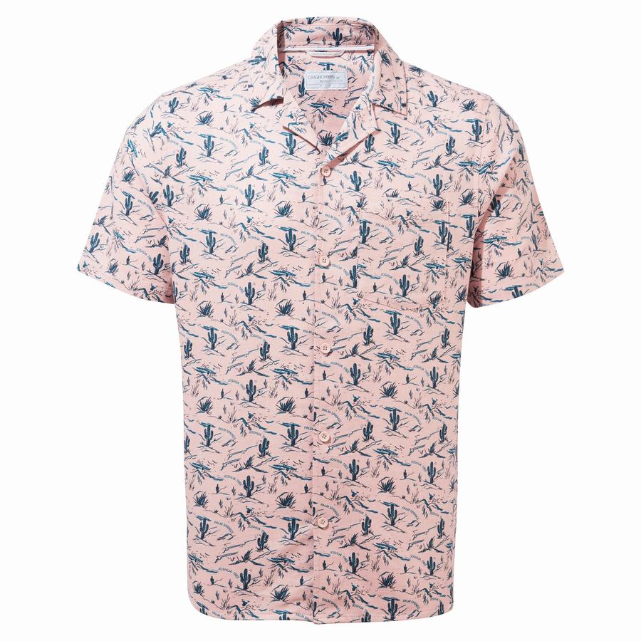 Pink Craghoppers Nosibotanical Hula Short Sleeved Men's Shirts | LWX5280DJ