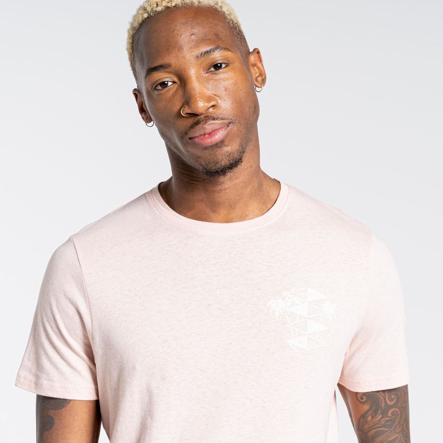 Pink Craghoppers Nosibotanical Sten Short Sleeved Men's T-Shirts | QBU6915VC