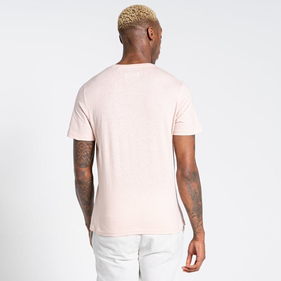 Pink Craghoppers Nosibotanical Sten Short Sleeved Men's T-Shirts | QBU6915VC