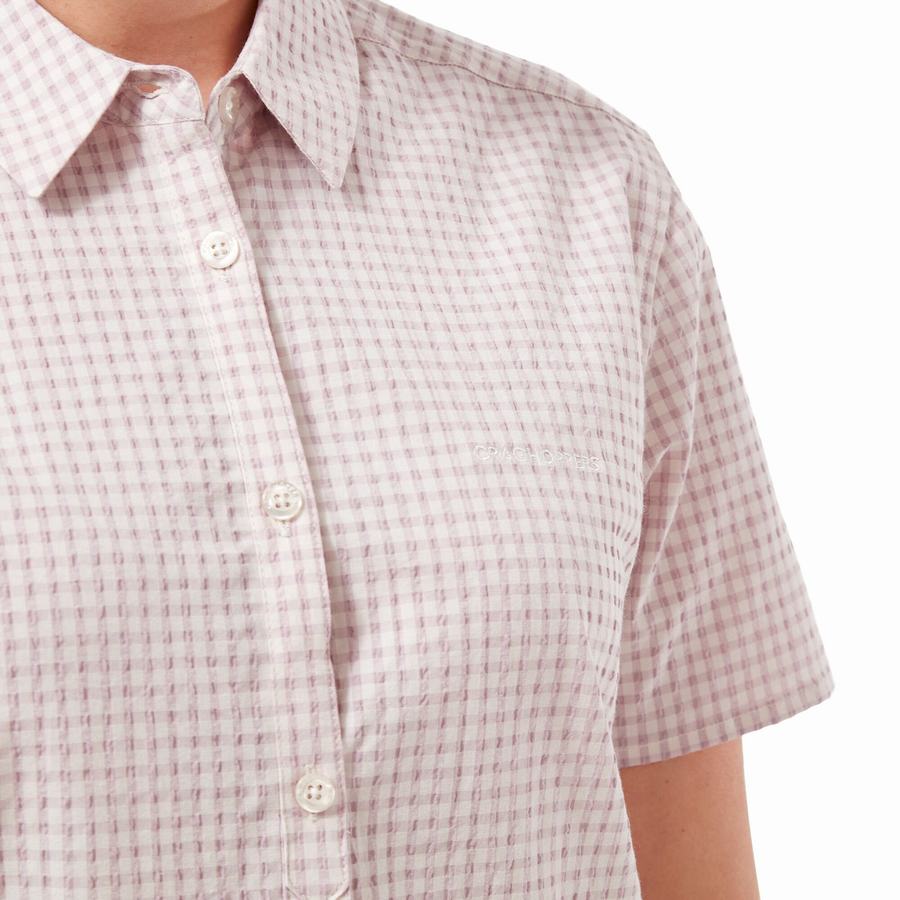 Purple Craghoppers Nasima Short Sleeved Women's Shirts | OBX4199CR