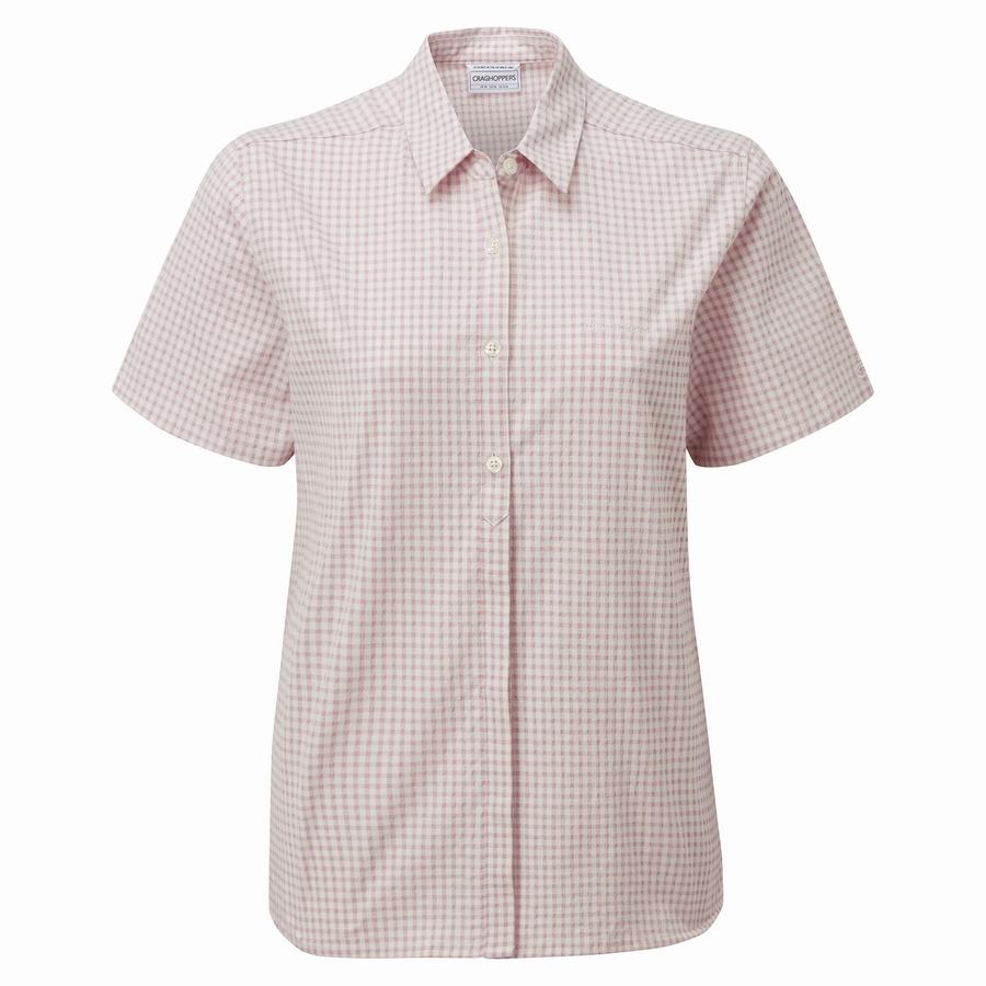 Purple Craghoppers Nasima Short Sleeved Women's Shirts | OBX4199CR