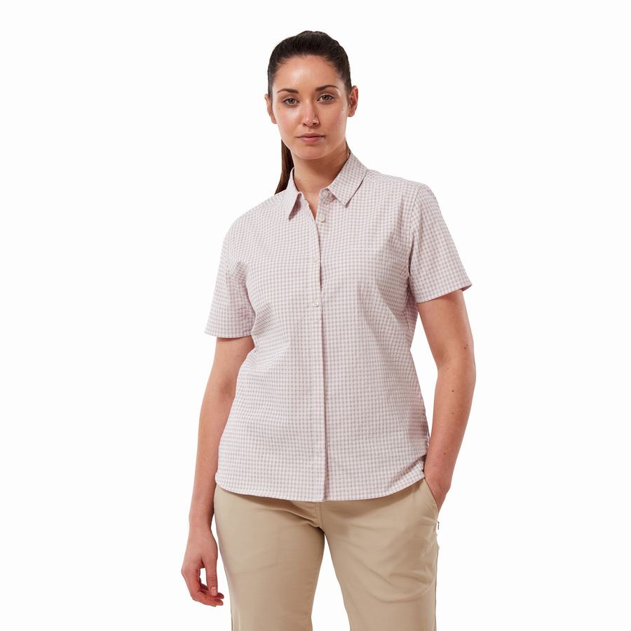 Purple Craghoppers Nasima Short Sleeved Women's Shirts | OBX4199CR