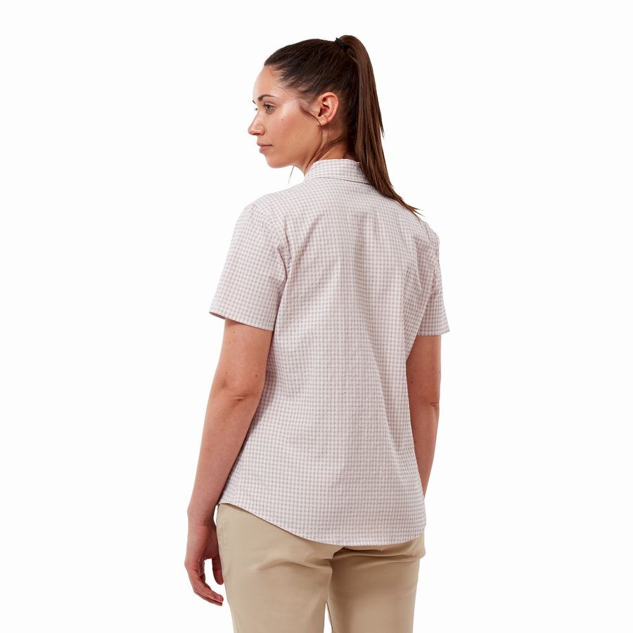 Purple Craghoppers Nasima Short Sleeved Women's Shirts | OBX4199CR