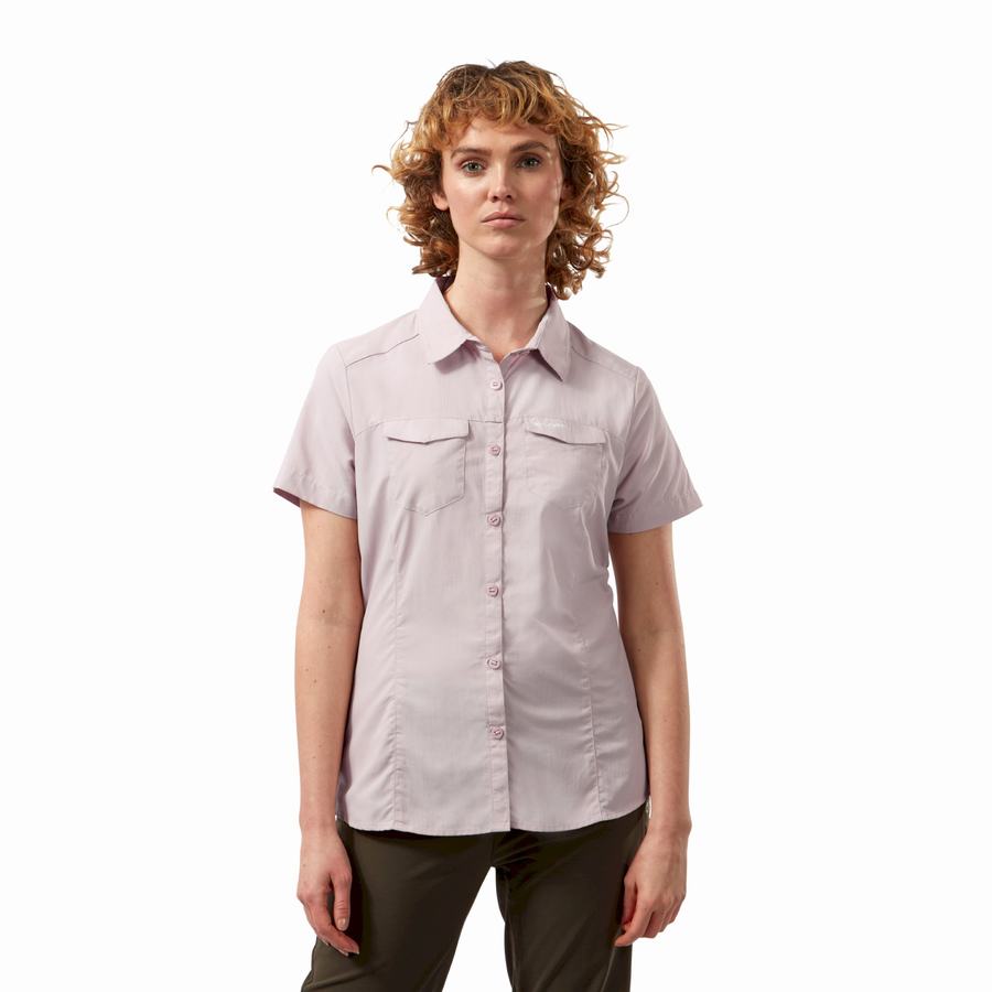 Purple Craghoppers NosiLife Adventure II Short Sleeved Women's Shirts | ZJH1213ET