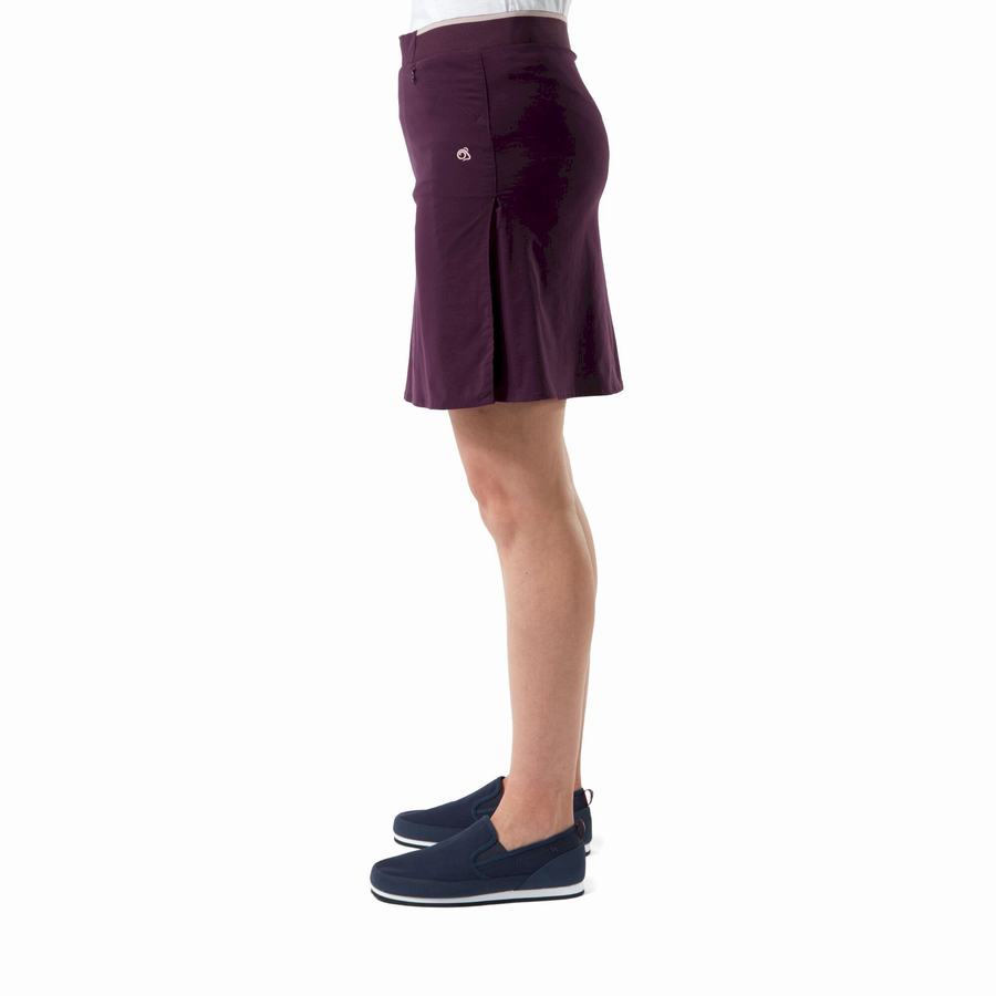 Purple Craghoppers NosiLife Pro Skort Women's Shorts | GMI780JY