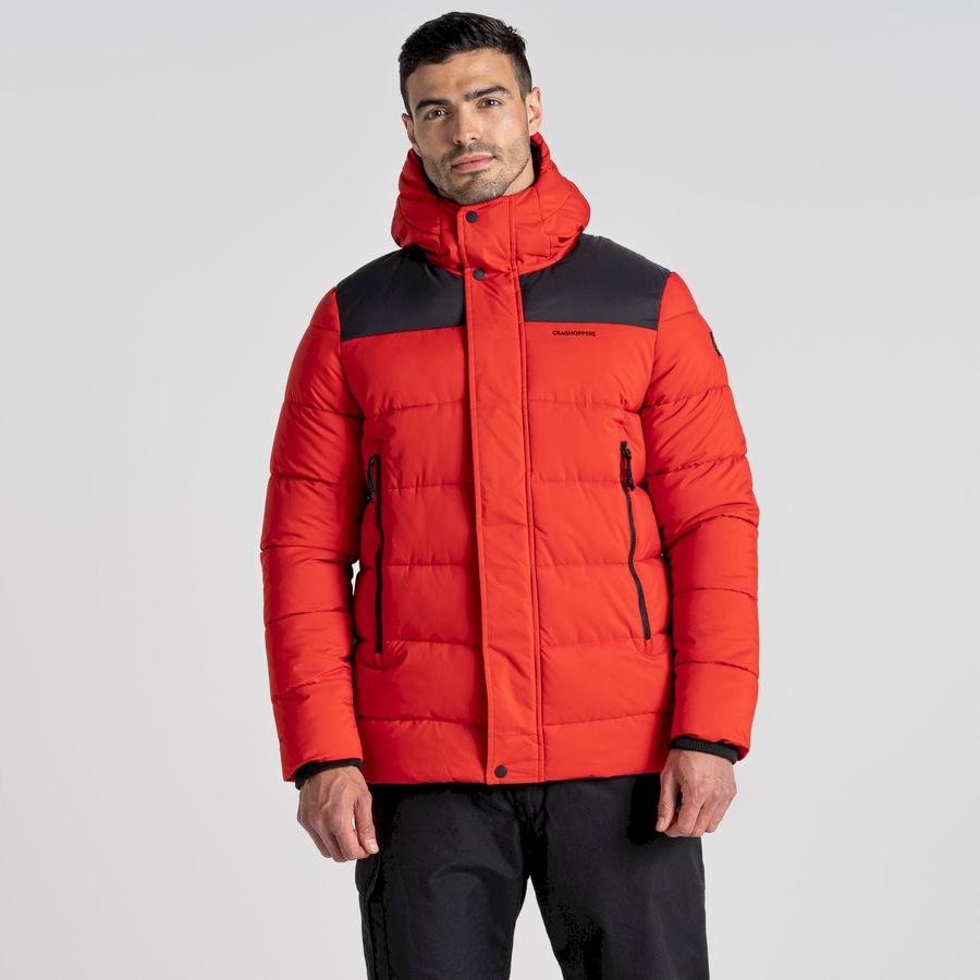 Red Black Craghoppers Sutherland Insulated Hooded Men's Jackets | CGT894UY