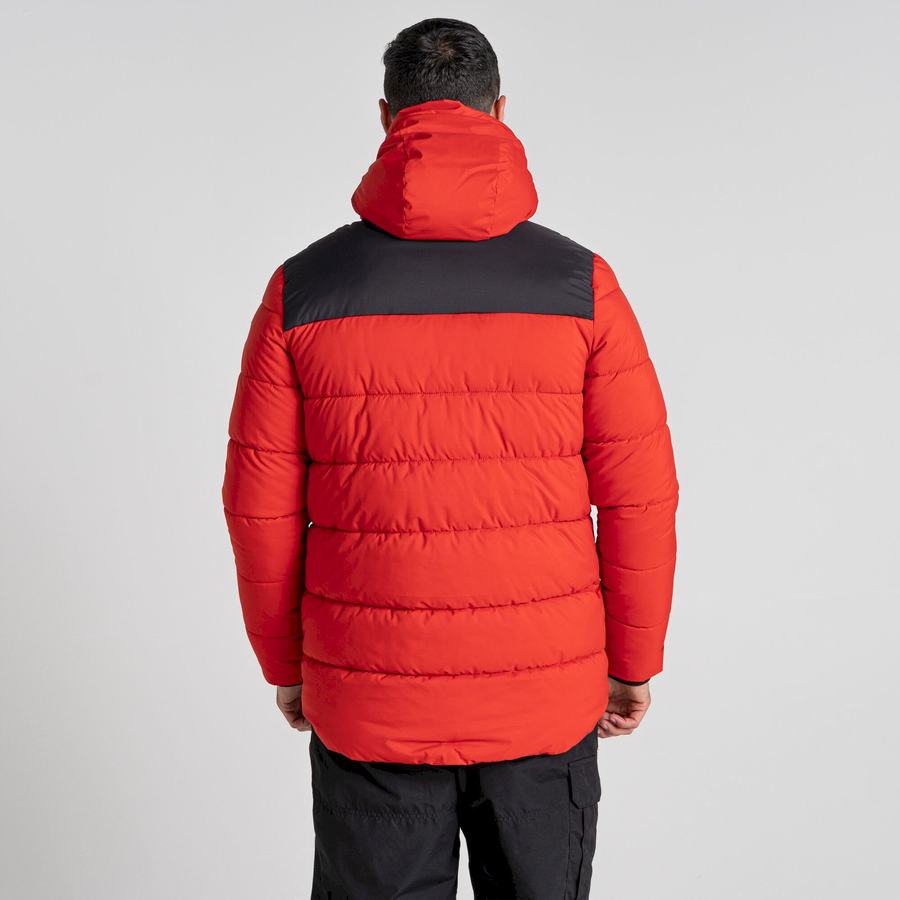 Red Black Craghoppers Sutherland Insulated Hooded Men's Jackets | CGT894UY