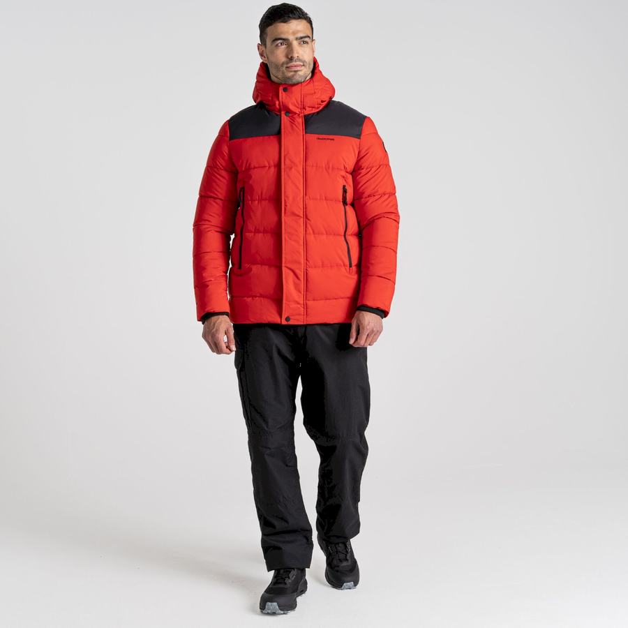 Red Black Craghoppers Sutherland Insulated Hooded Men's Jackets | CGT894UY