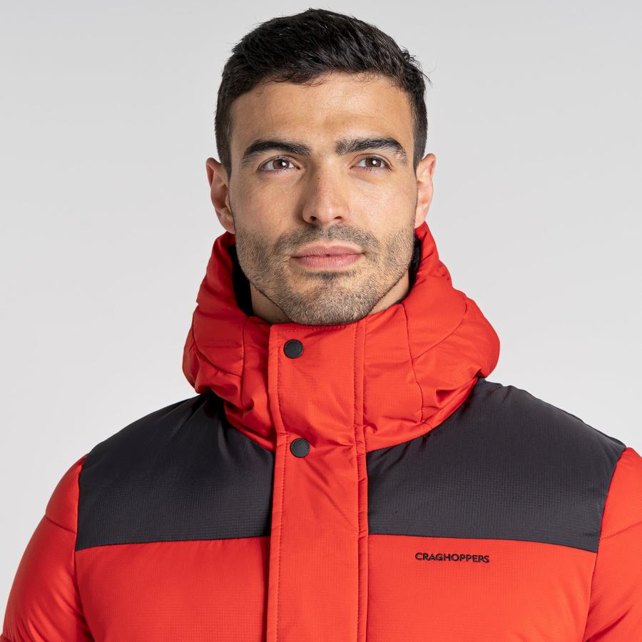 Red Black Craghoppers Sutherland Insulated Hooded Men's Jackets | CGT894UY