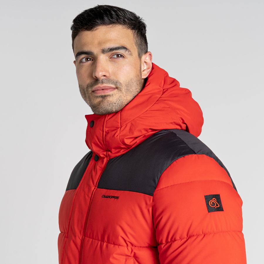 Red Black Craghoppers Sutherland Insulated Hooded Men's Jackets | CGT894UY