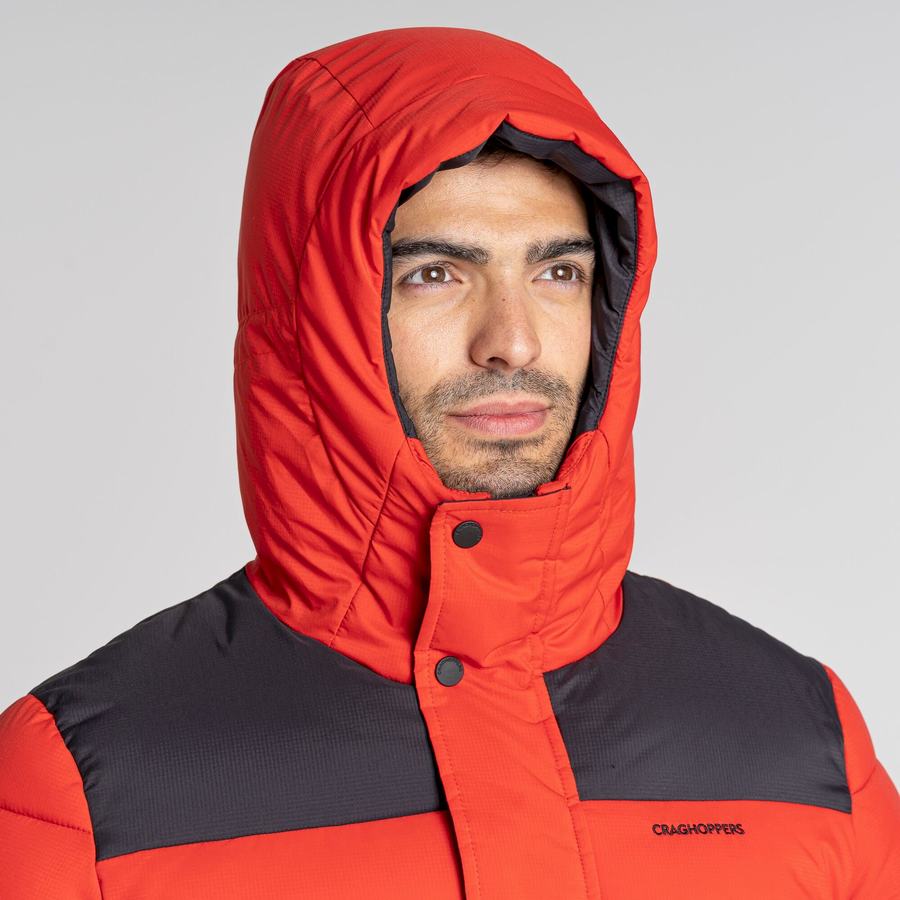 Red Black Craghoppers Sutherland Insulated Hooded Men's Jackets | CGT894UY