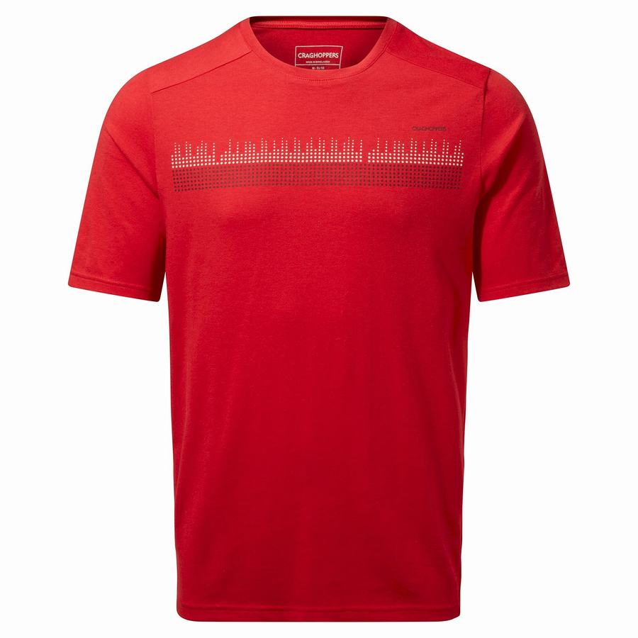 Red Craghoppers Dynamic Short Sleeved Sriracha Red Men\'s T-Shirts | HMV165UB