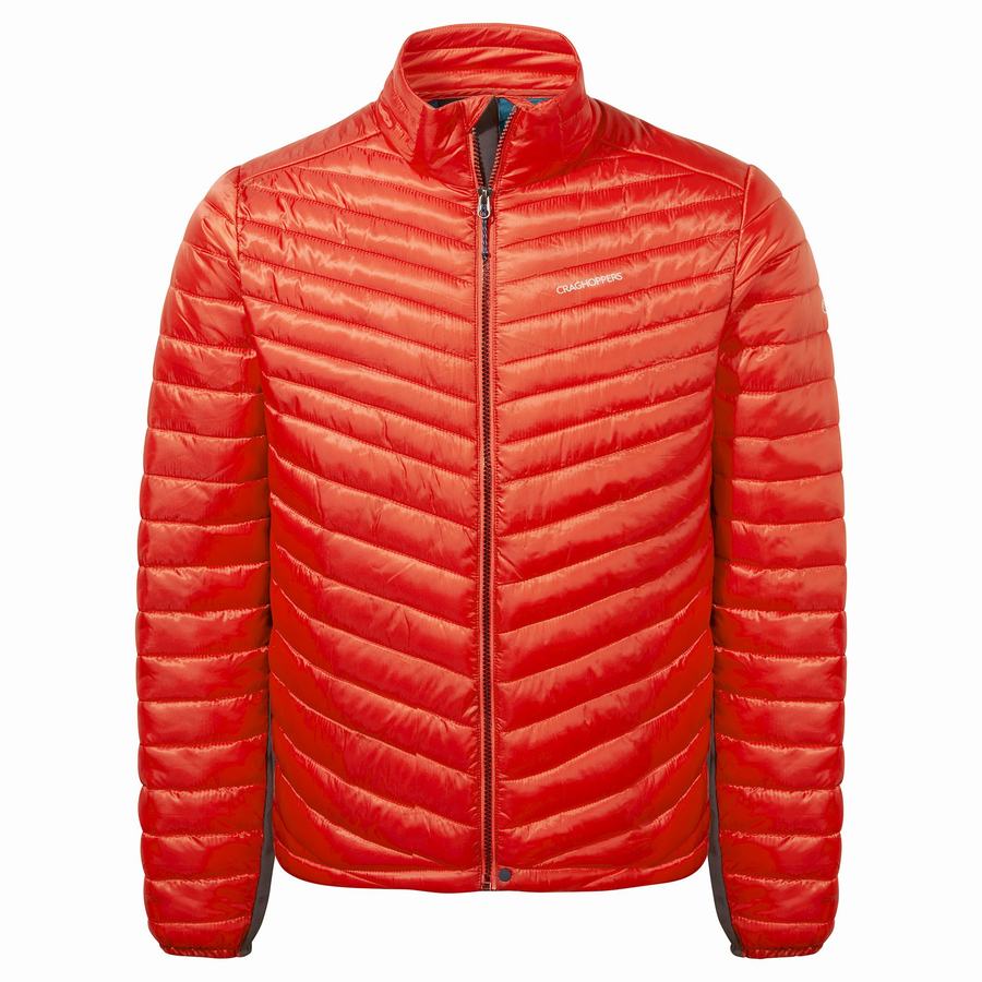 Red Craghoppers ExpoLite Insulated Men's Jackets | IJP916VV