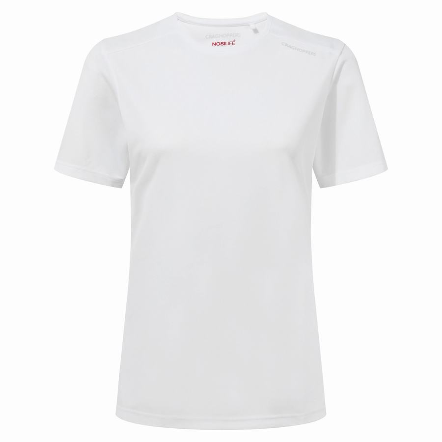 White Craghoppers NosiLife Candella Short Sleeved Women's T-Shirts | ZDC8644KN