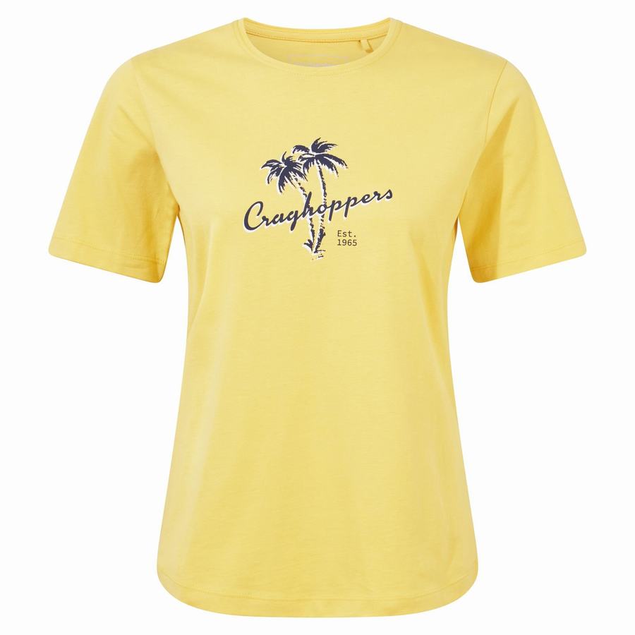 Yellow Craghoppers Ally Short Sleeved Women's T-Shirts | UIH8046TW