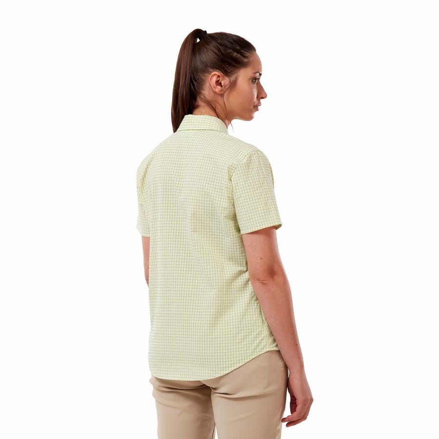 Yellow Craghoppers Nasima Short Sleeved Women's Shirts | GVO3945AP