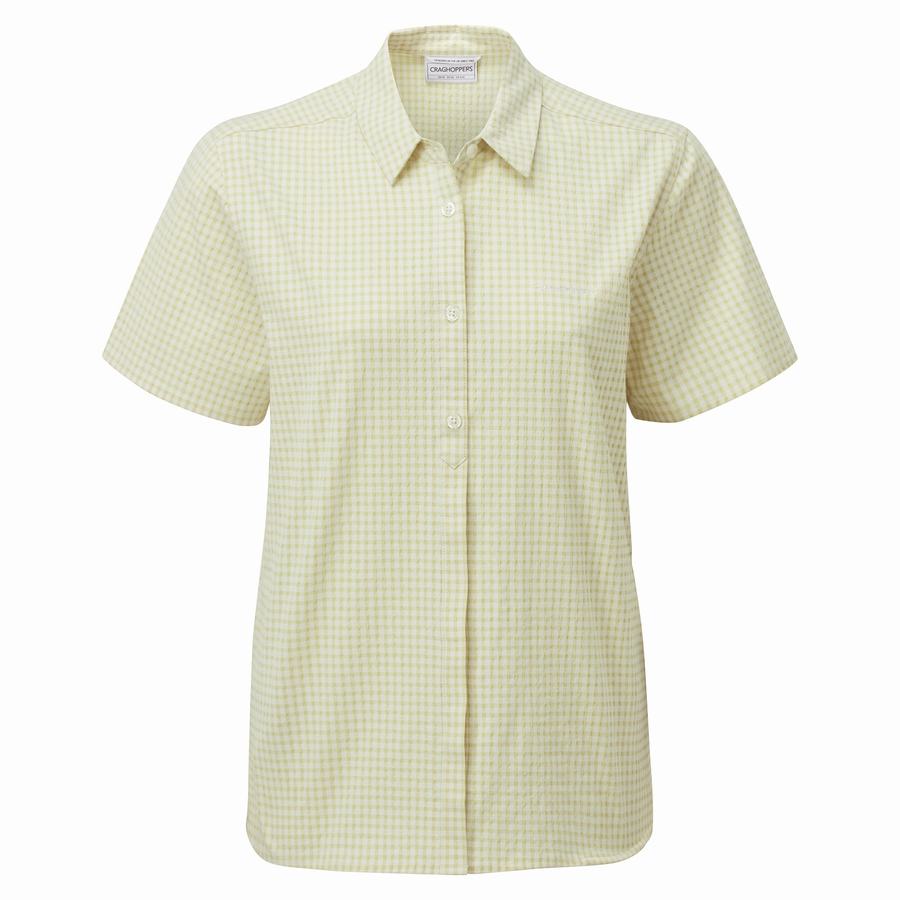 Yellow Craghoppers Nasima Short Sleeved Women's Shirts | GVO3945AP