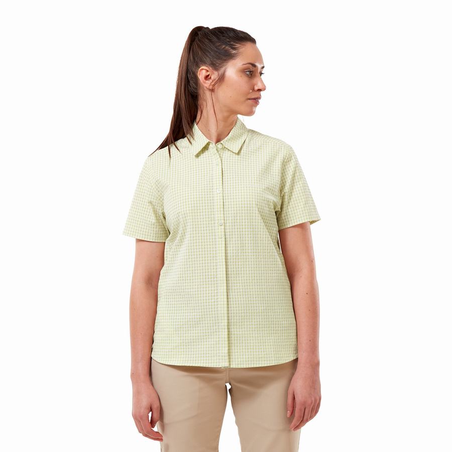 Yellow Craghoppers Nasima Short Sleeved Women's Shirts | GVO3945AP